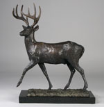 Bronze Buck